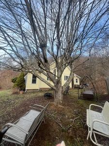 1450 Big Windfall Rd