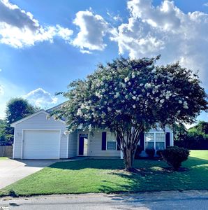 144 Sunny Ray Dr