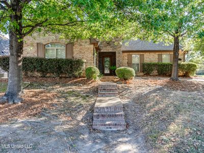 515 Turtle Ln