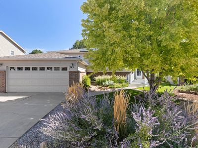 743 Ponderosa Dr
