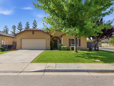 11715 Blanket Flower Dr