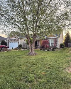 74 Foxtail Ct