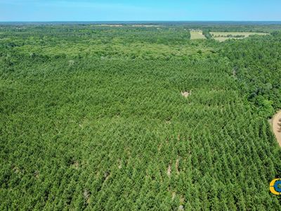 Property at 0 Miller Rd, Mauk, GA