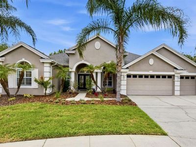 26641 Winged Elm Dr