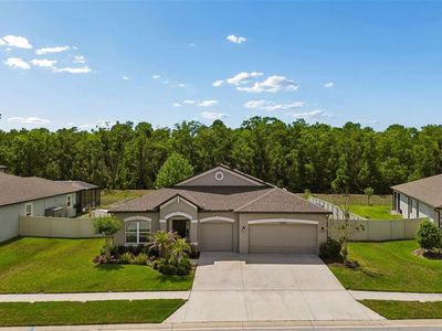 18078 Romanesque Ct