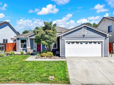 711 Lupine Way