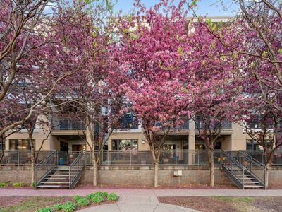 825 Berry St APT 201