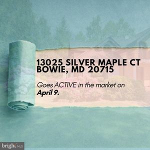 13025 Silver Maple Ct