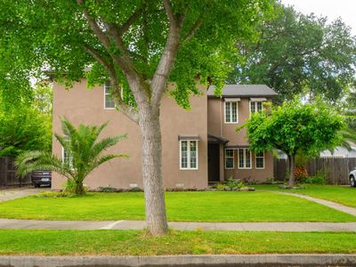 10 Palm Avenue