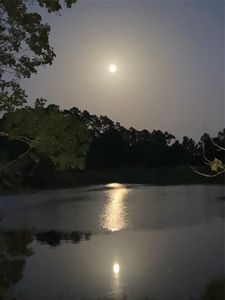 240 Driftwood Dr