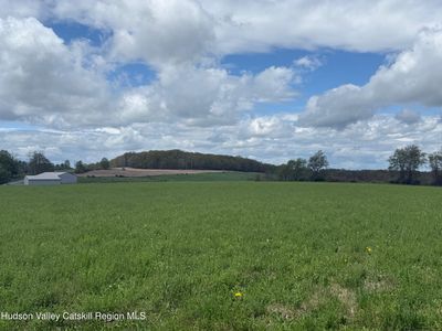 317 Skunks Misery Road