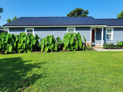 235 Long John Silver Drive