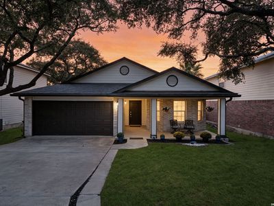 9534 Fallen Willow