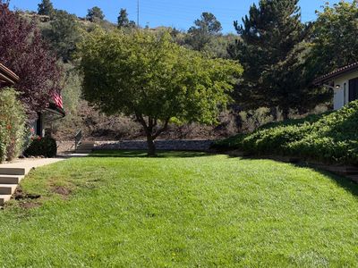 417 TORREY PINE Lane