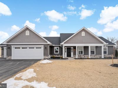 LOT 583 Thoroughbred Ter