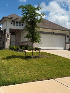 31053 Regal Elm Ln