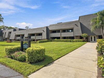 36750 US HIGHWAY 19 N #3131