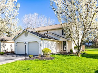 143 Courtshire Ln