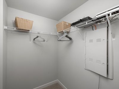 Amber Plan, Valentine Townes