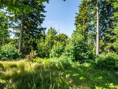 Property at 98 XX 351st Avenue SE, Snoqualmie, WA