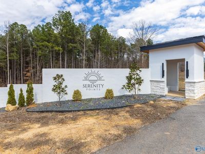231 County Road 446
