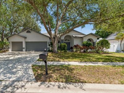 Property at 5488 Oakridge Dr, Palm Harbor, FL