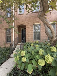 1437 Winding Creek Dr