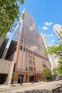 161 E Chicago Ave #33B