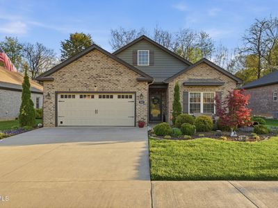 585 Nettle Tree Ct