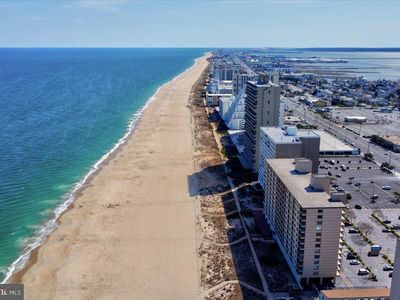 10002 Coastal Hwy Unit 1212