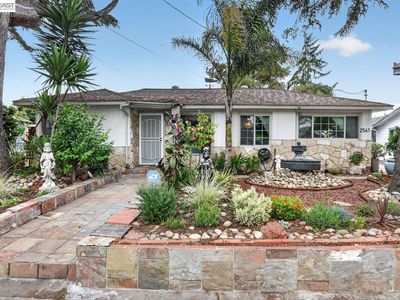 2541 Marina Blvd