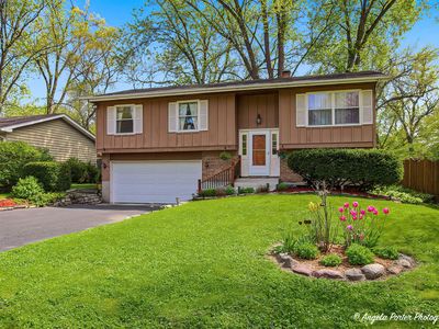 305 Woodbine Ave