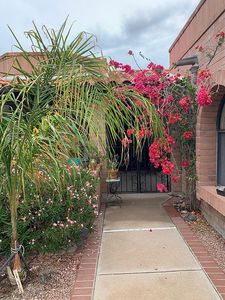 4869 N Via Velazquez