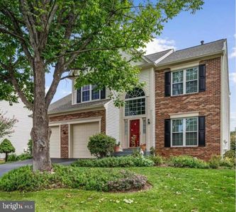 46557 Hollymead Pl