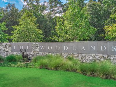 46 N Copperknoll Cir