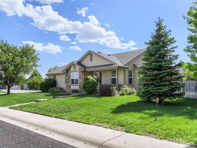 Property at 654 Foxtail Way, Severance, CO