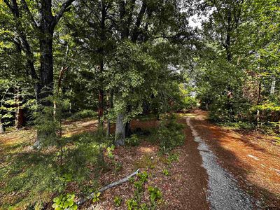19909 County Road 4130