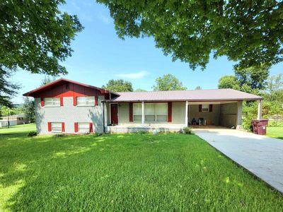 31 County Road 596