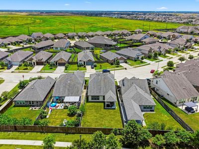 30010 Vallonea Oak