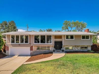 71 N Paradise Dr