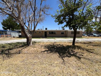 348 Bird Ave