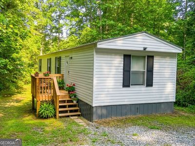 164 Pine Tree Ln