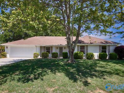 217 Perennial Way