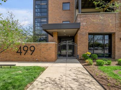 499 E High St Unit 203