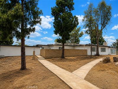 17301 Palm Rd