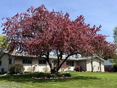 1115 Torpey Dr