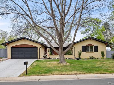 1131 Birdie Road