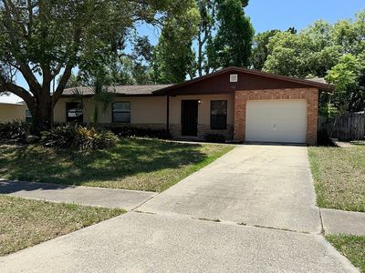 52 Lemon Twist Ln