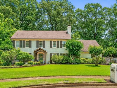 1378 Pine Bark Cv