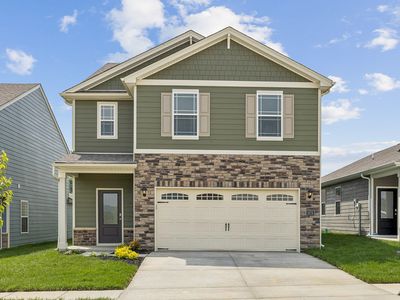 Elm Plan, Koehler Woods